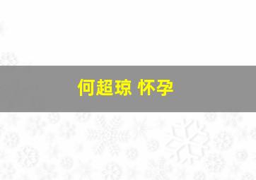 何超琼 怀孕